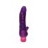 H2O Viking vibrator (paars)