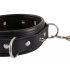 Bad Kitty - Spijker- en Studhalsband met Leash (Zwart)