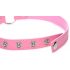 Master Series Kinky Kitty - halsband met katje ring (roze)