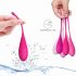 FEELZTOYS Femmefit - Kegel bal set (6 delen)