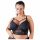 Cottelli Plus Size - Strap Lace Bra (Black) 