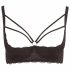 Cottelli Plus Size - Strappy, Ringed Push-Up Bra (Black)  - 95D