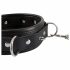 Bad Kitty - Spijker- en Studhalsband met Leash (Zwart)