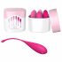 FEELZTOYS Femmefit - set geishaballen (6-delig)